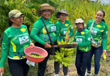 Las huertas en Barranquilla siguen dando frutos para la seguridad alimentaria