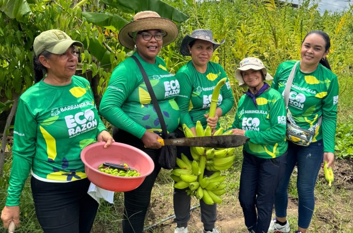 19bbf9bd-8151-4a37-9786-77e6f3c5f7ee