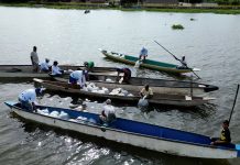 Atlántico fortalece la pesca artesanal con nuevo repoblamiento de alevinos en La Peña