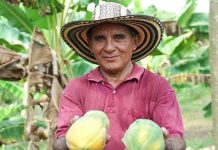 Millonarias inversiones en alianzas productivas con las comunidades