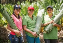 El programa Mujer con Propiedad llega a Barranquilla con jornada gratuita de asesorías jurídicas
