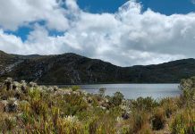 En la IV Cumbre Celac–UE, Colombia presentará la Plataforma País para impulsar el desarrollo sostenible en la región