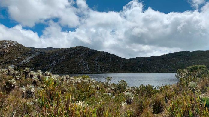 251106-En-la-IV-Cumbre-Celac-UE-Colombia-presentara-la-Plataforma-Pais-1280
