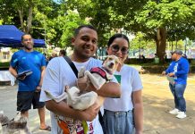 Celebremos el Fin de Año protegiendo a nuestros animales