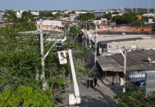 Barranquilla continúa mejorando el alumbrado público en sectores de Caribe Verde y Las Gardenias