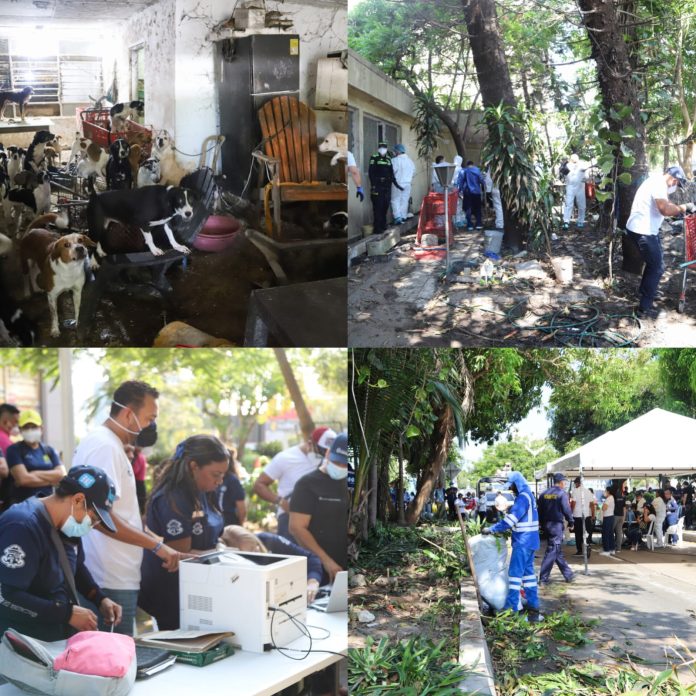 IMG-20260326-WA0249(2)