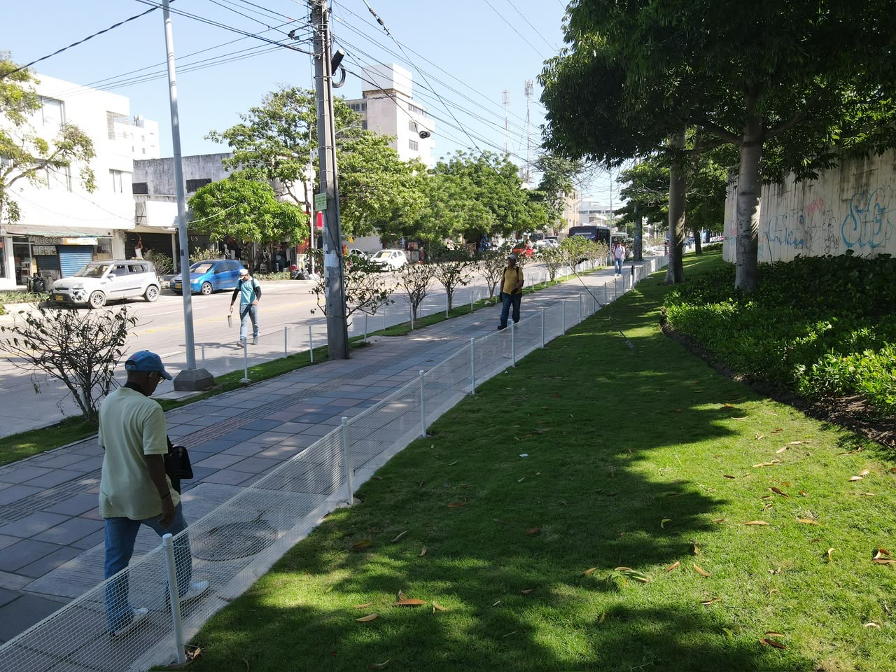 Alcaldía de Barranquilla siembra más de 2.500 metros cuadrados de paisajismo en la calle 72